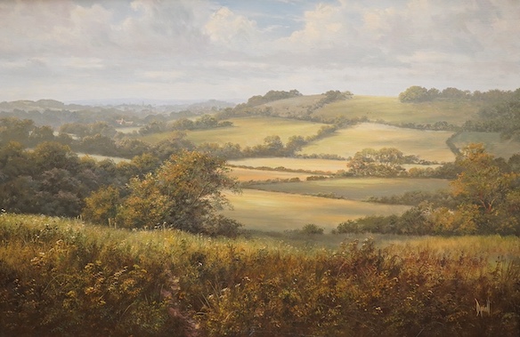 David Dipnall (1941-2023), oil on canvas, ‘Northfield, Over the Downs’, signed, Stacy Marks inscribed gallery label verso, 49 x 75cm. Condition - good